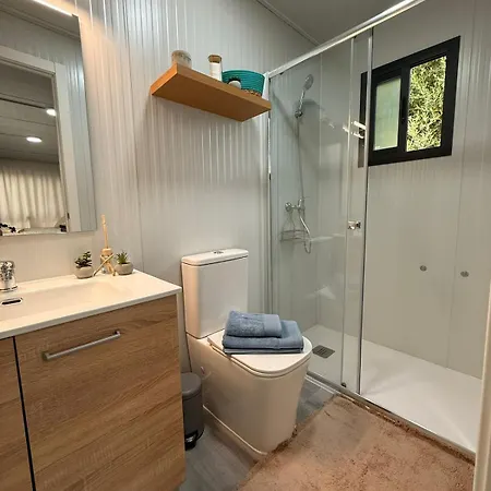Sofia